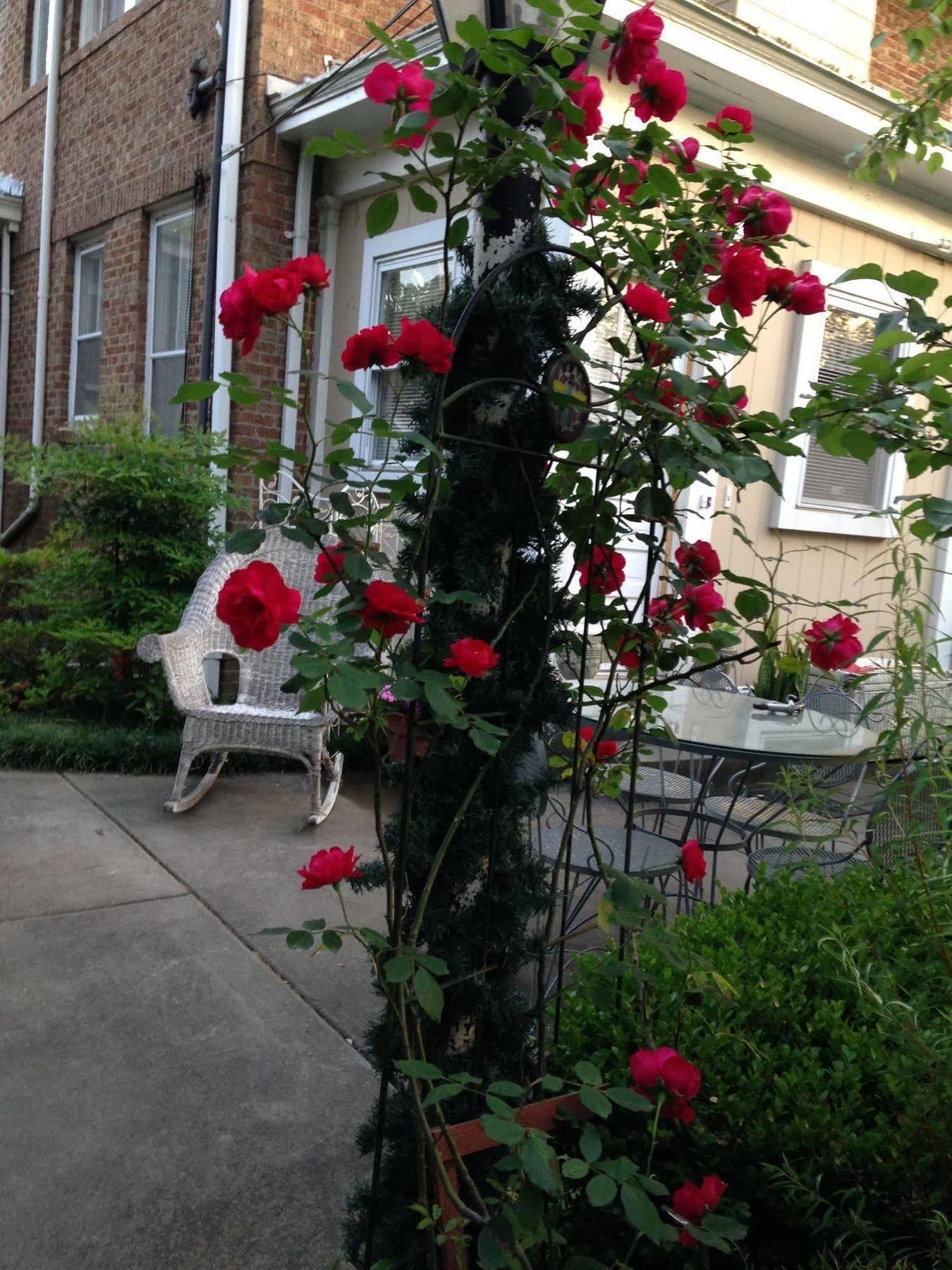 Port City Guest House Wilmington Exterior photo